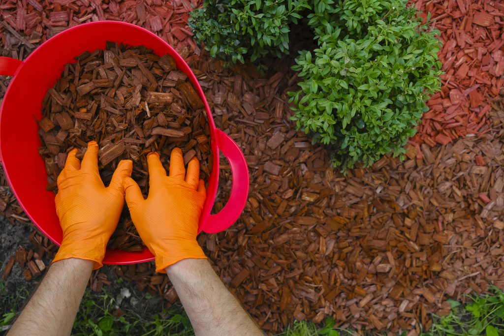 Landscaper wearing orange gloves on hands spreads mulch in garden