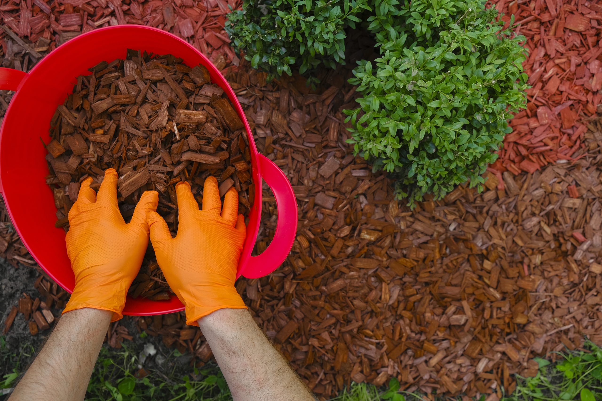 6 Ways Mulch Is Good for Your Gardens Evolve Landscaping