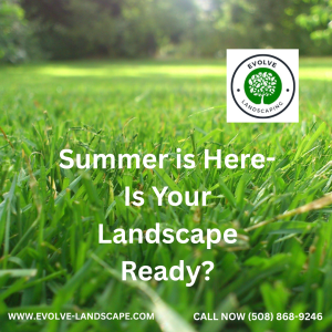 Closeup of a grass yard with the text "Summer is Here-Is Your Landscape Ready" with the Evolve Landscaping logo in the corner.