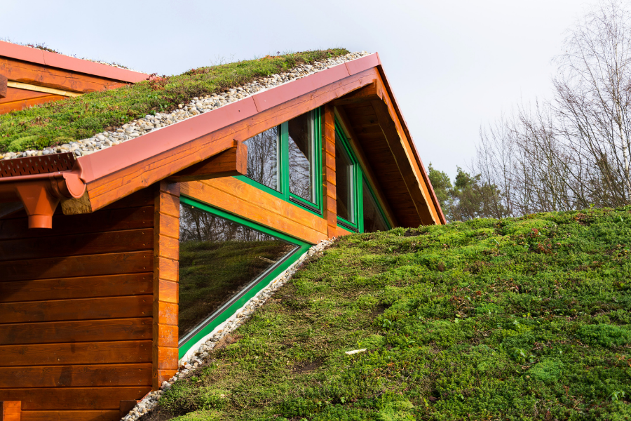 Living roof on a house.
