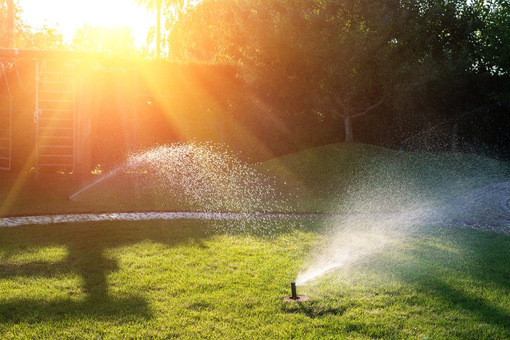 Sprinklers and stone path in a summer outdoor space in backyard.
